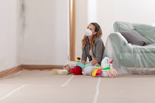 Reliable Basement Mold Remediation contractor in Lexington, MI by WQB Mold Removal